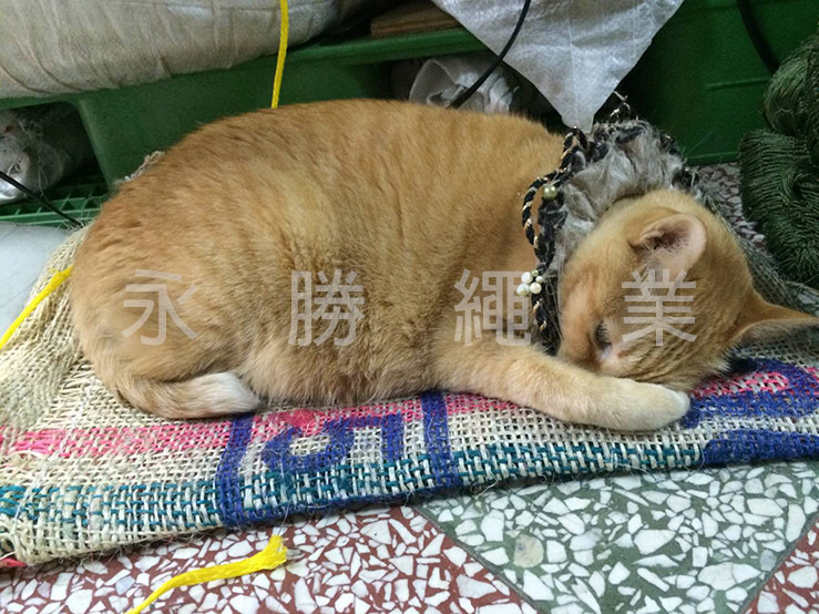 麻布袋