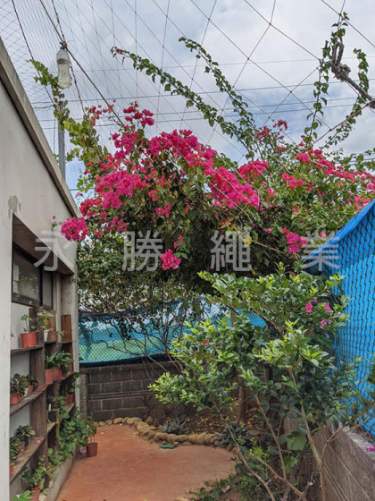 斜面延伸