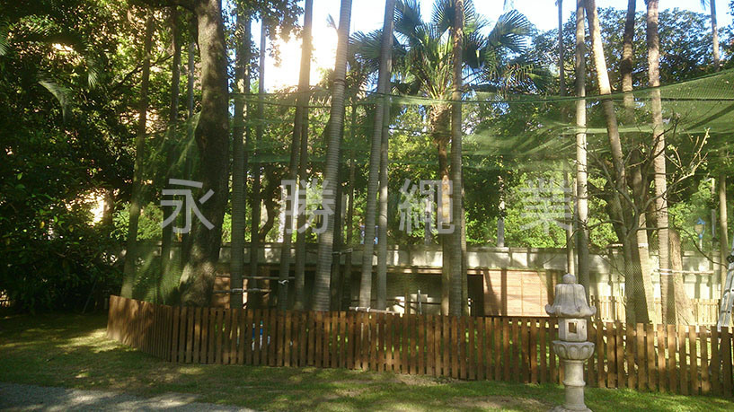防孔雀飛出(台北賓館)
